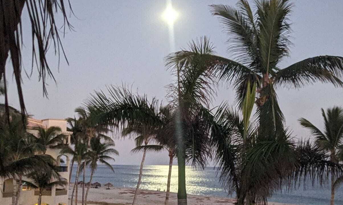 Photo of Others in Zona Hotelera