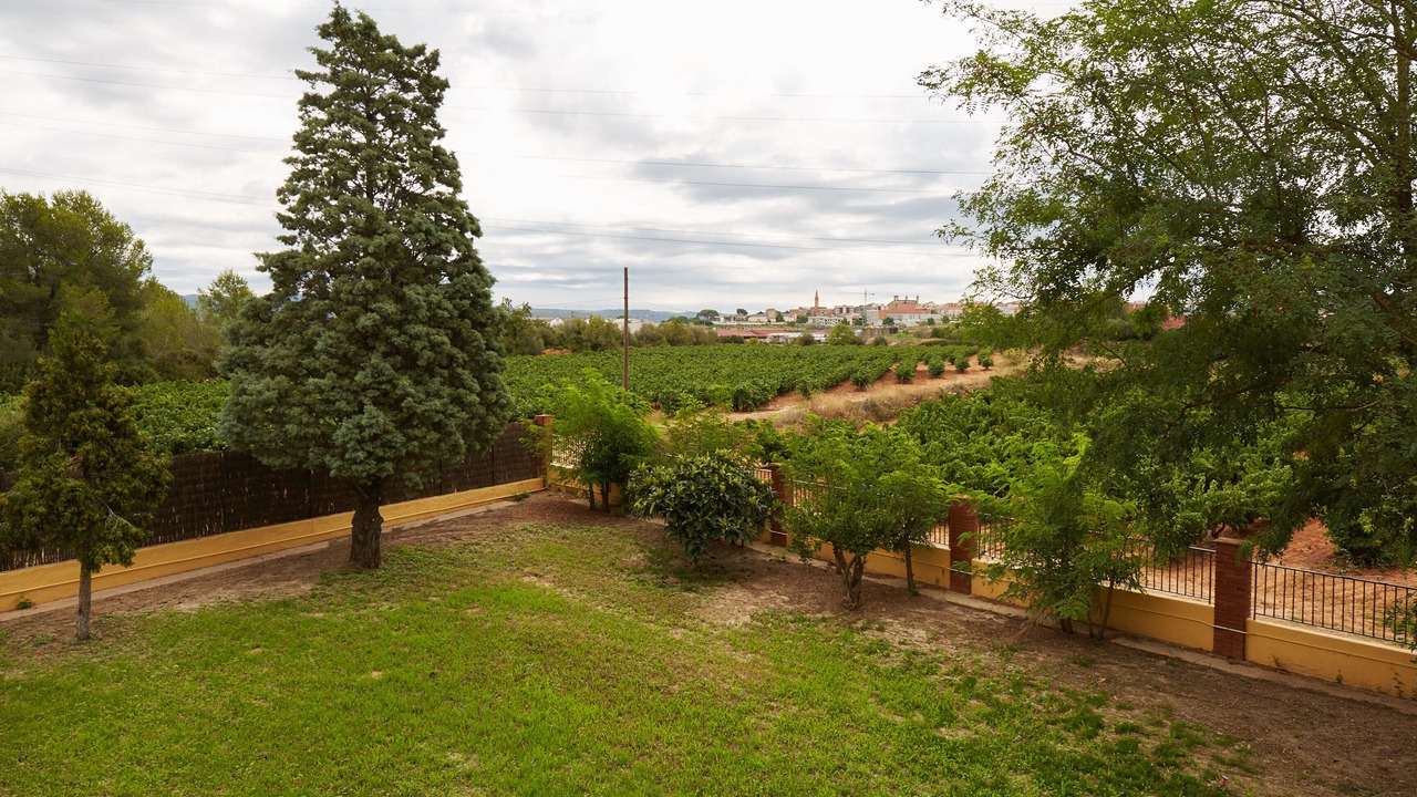 Photo of Outdoor in Arbos