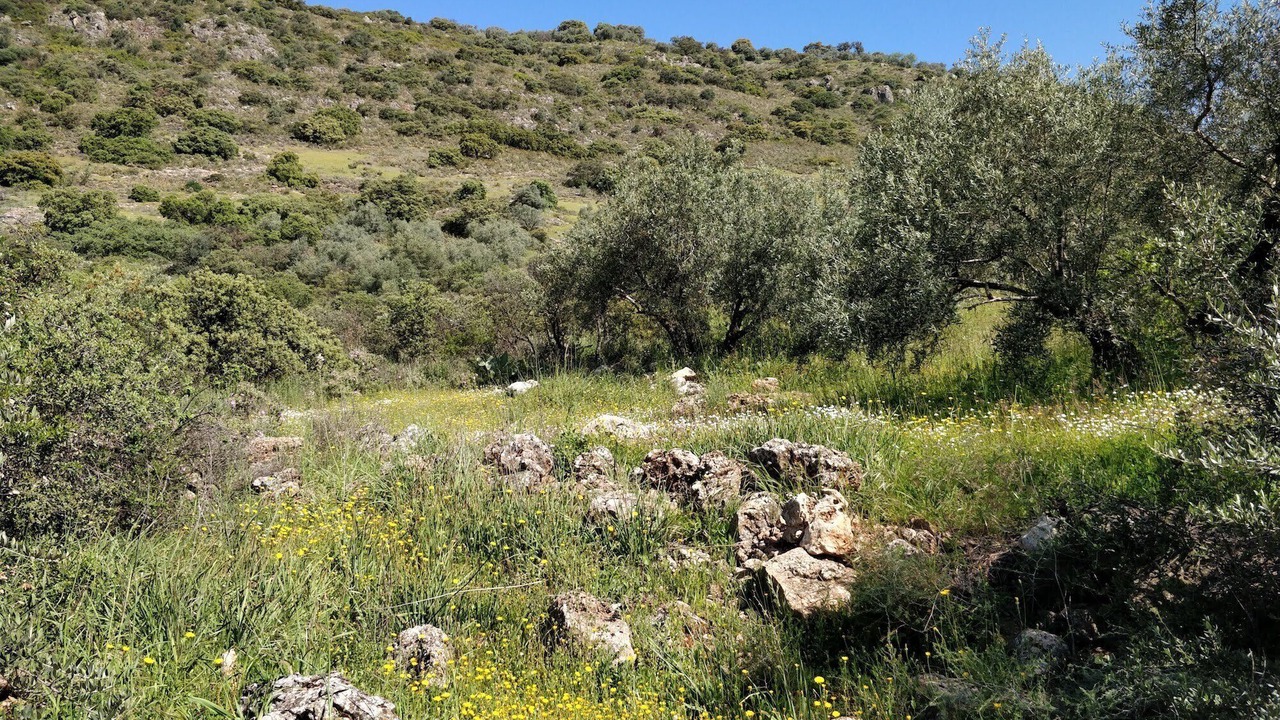 Photo of Outdoor in Iznajar