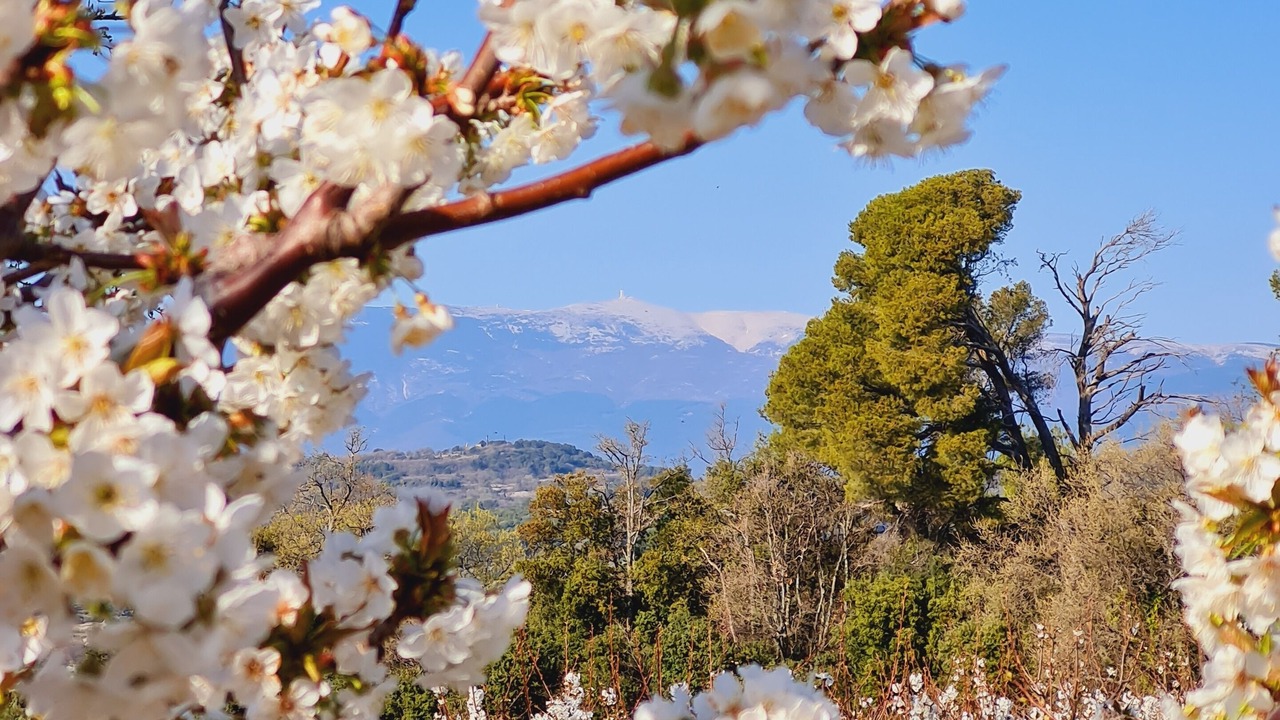 Photo of Outdoor in Venasque