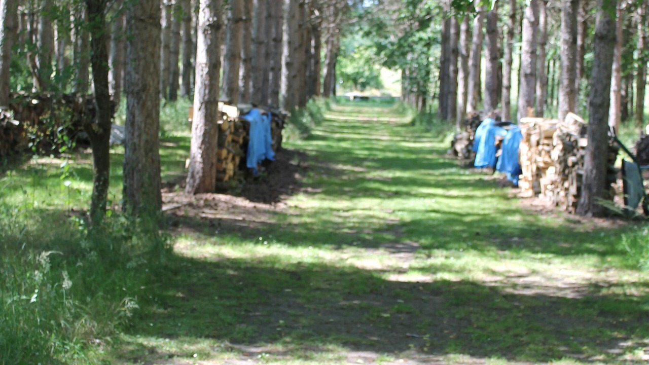 Photo of Outdoor in Deneze-sous-le-Lude