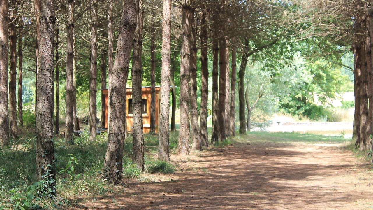 Photo of Outdoor in Deneze-sous-le-Lude