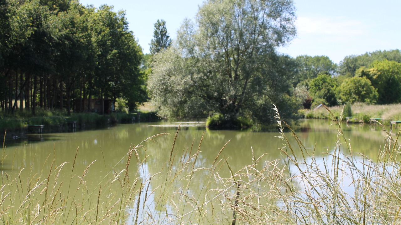 Photo of Outdoor in Deneze-sous-le-Lude