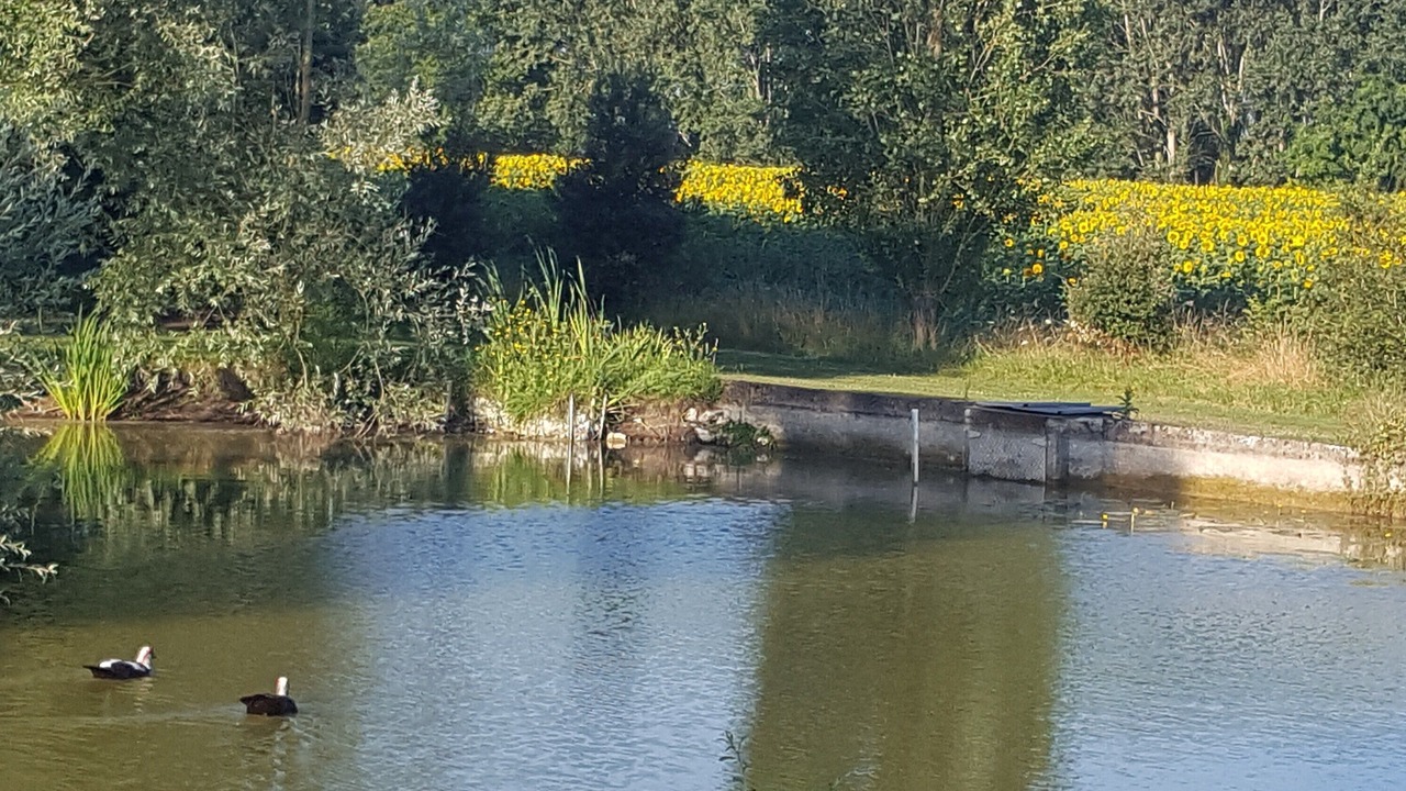 Photo of Outdoor in Deneze-sous-le-Lude