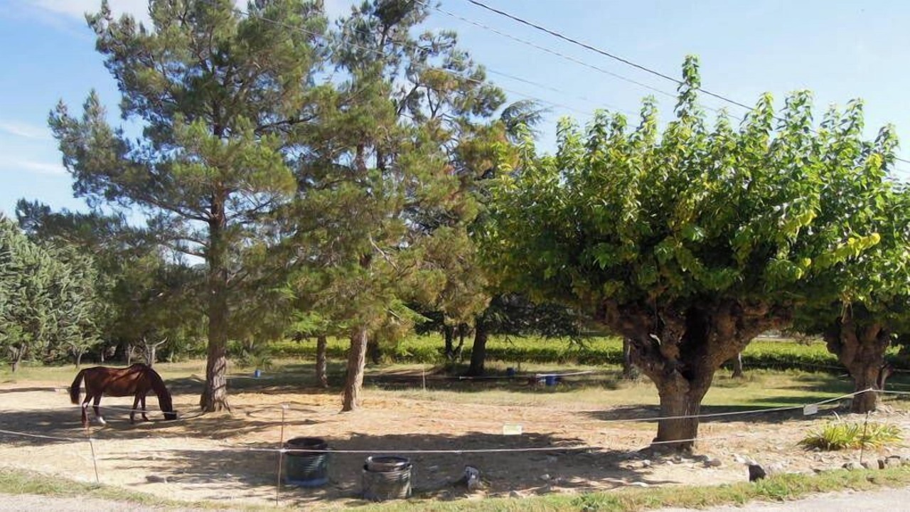 Photo of Outdoor in Verfeuil