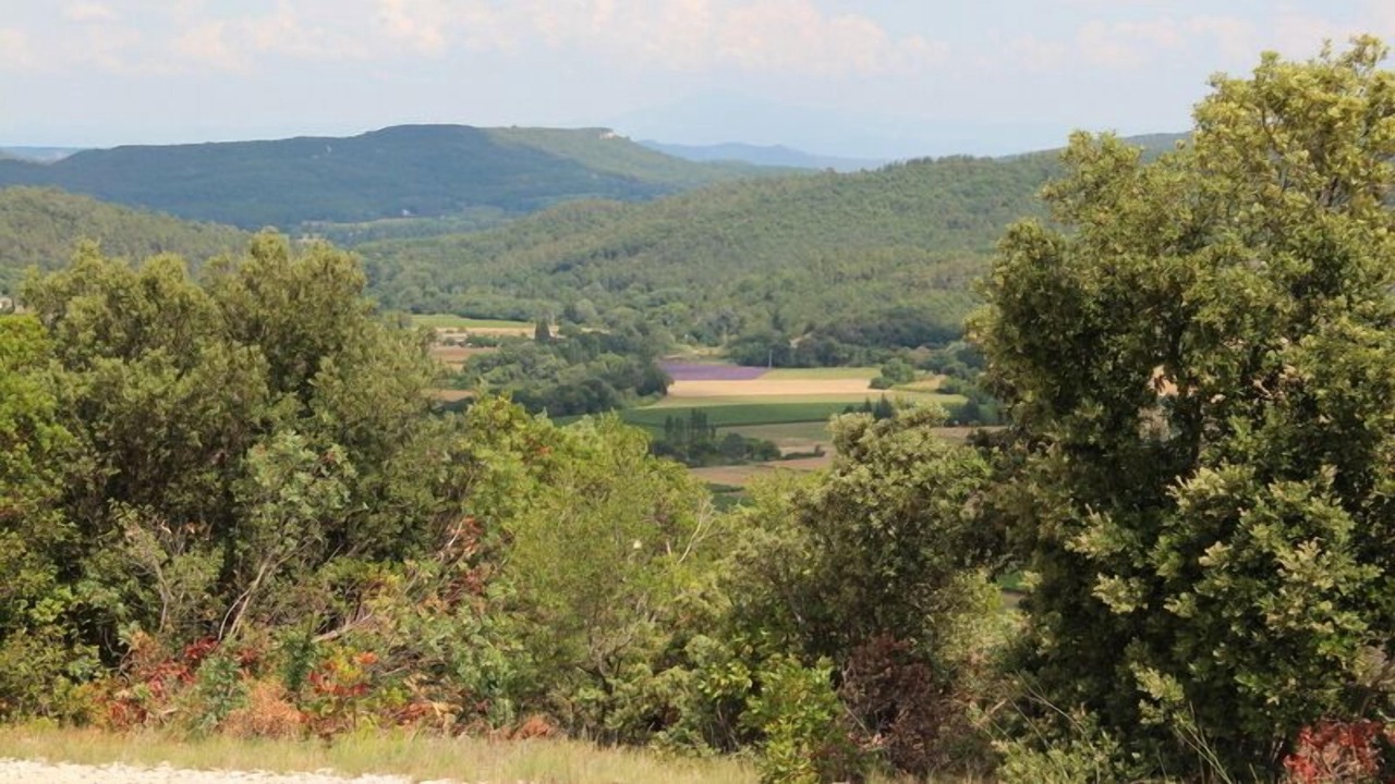 Photo of Outdoor in Verfeuil