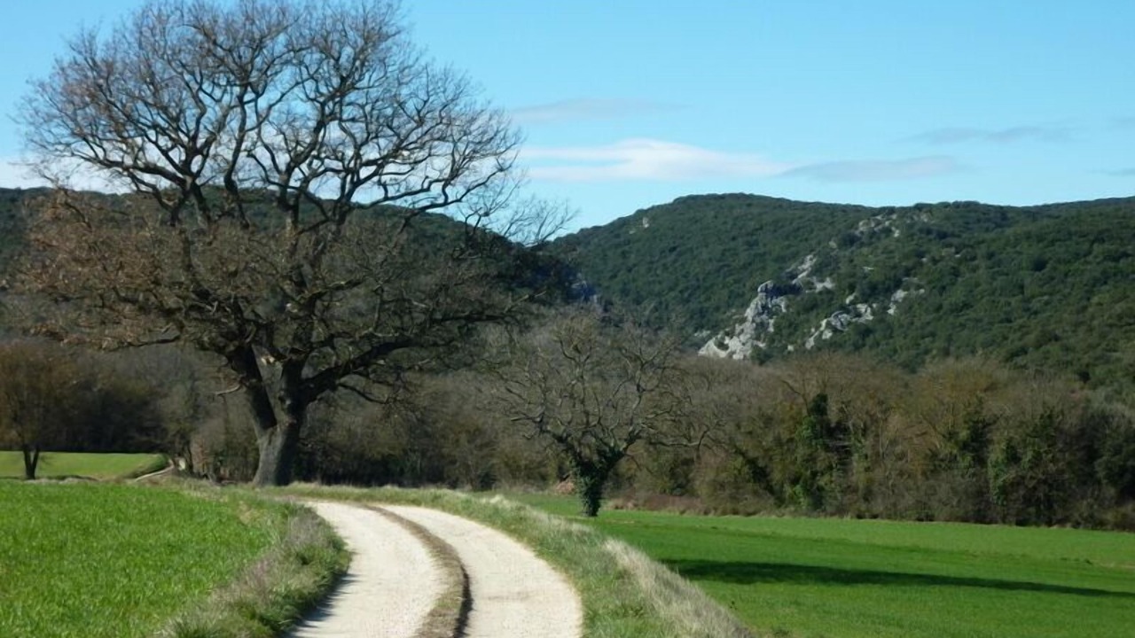 Photo of Outdoor in Verfeuil