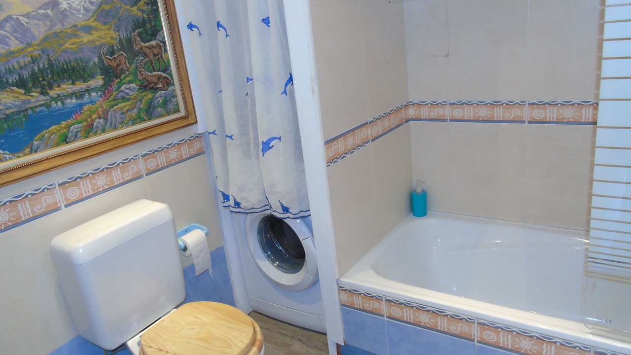 Photo of Bathroom in La Cortinada