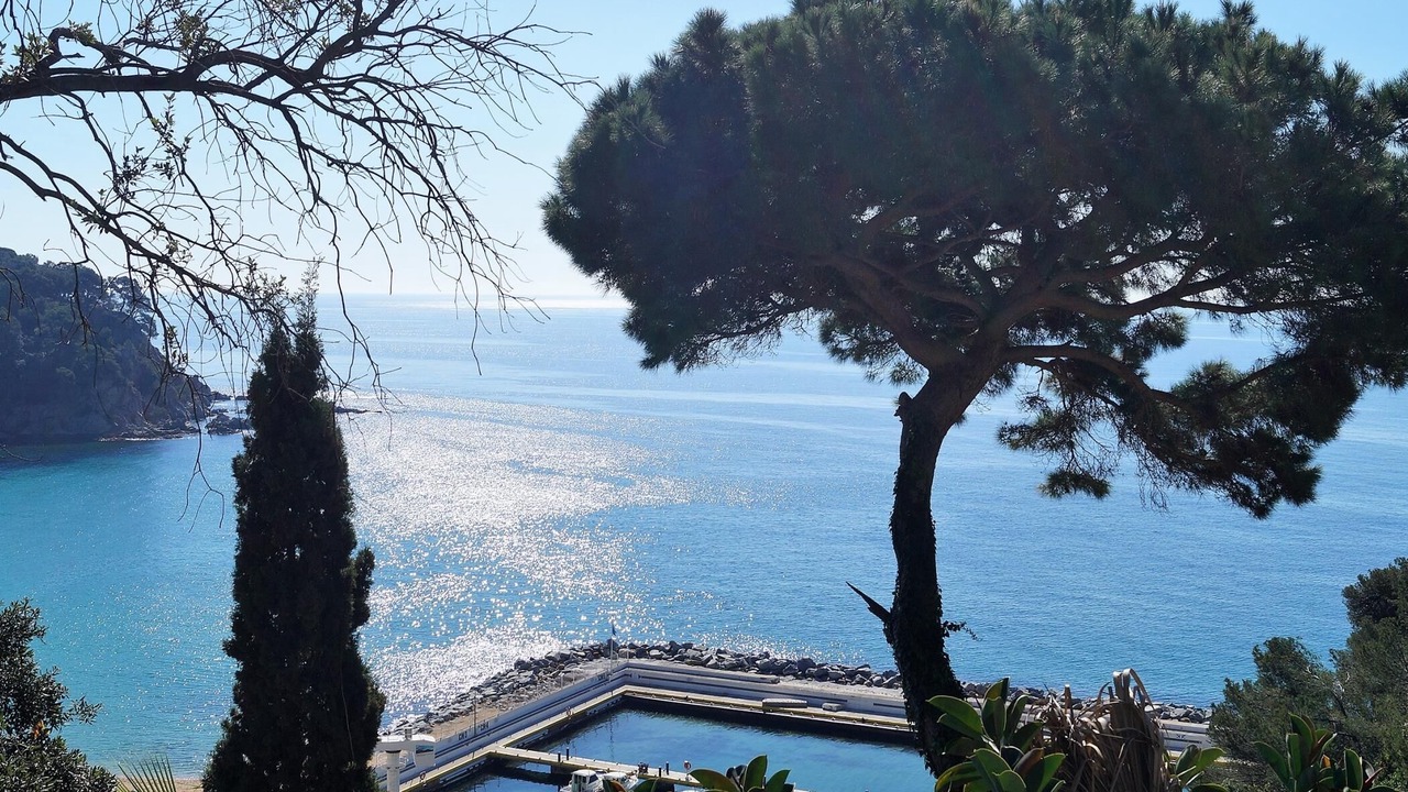 Photo of Others in Lloret de Mar