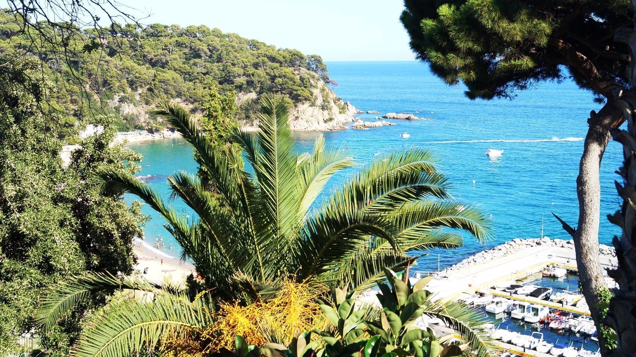 Photo of Others in Lloret de Mar