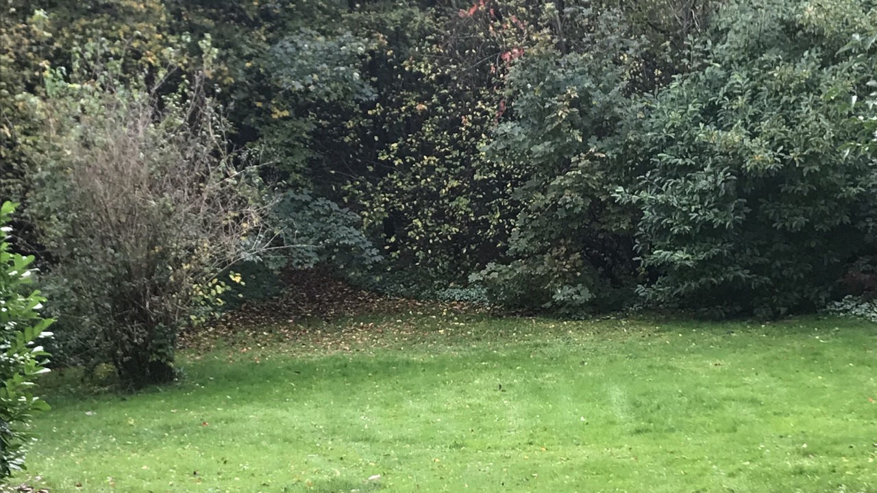 Photo of Outdoor in Nykobing Mors