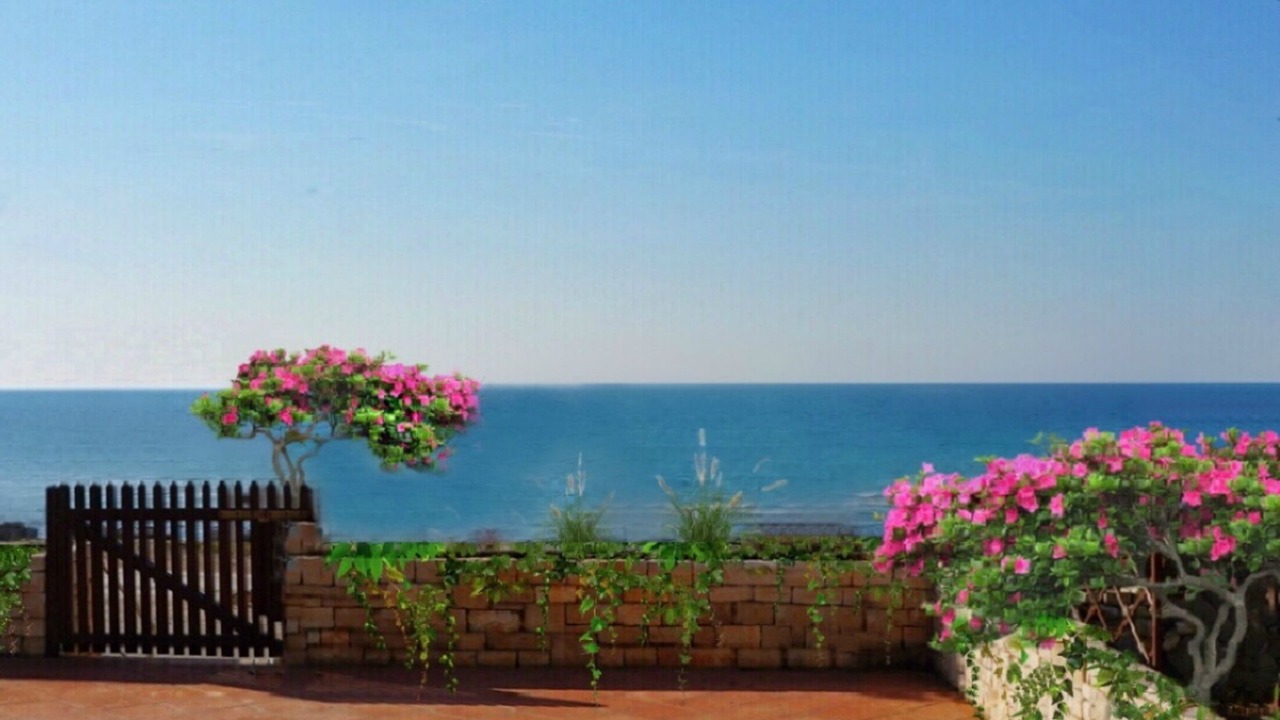 Photo of Outdoor in Zambratija