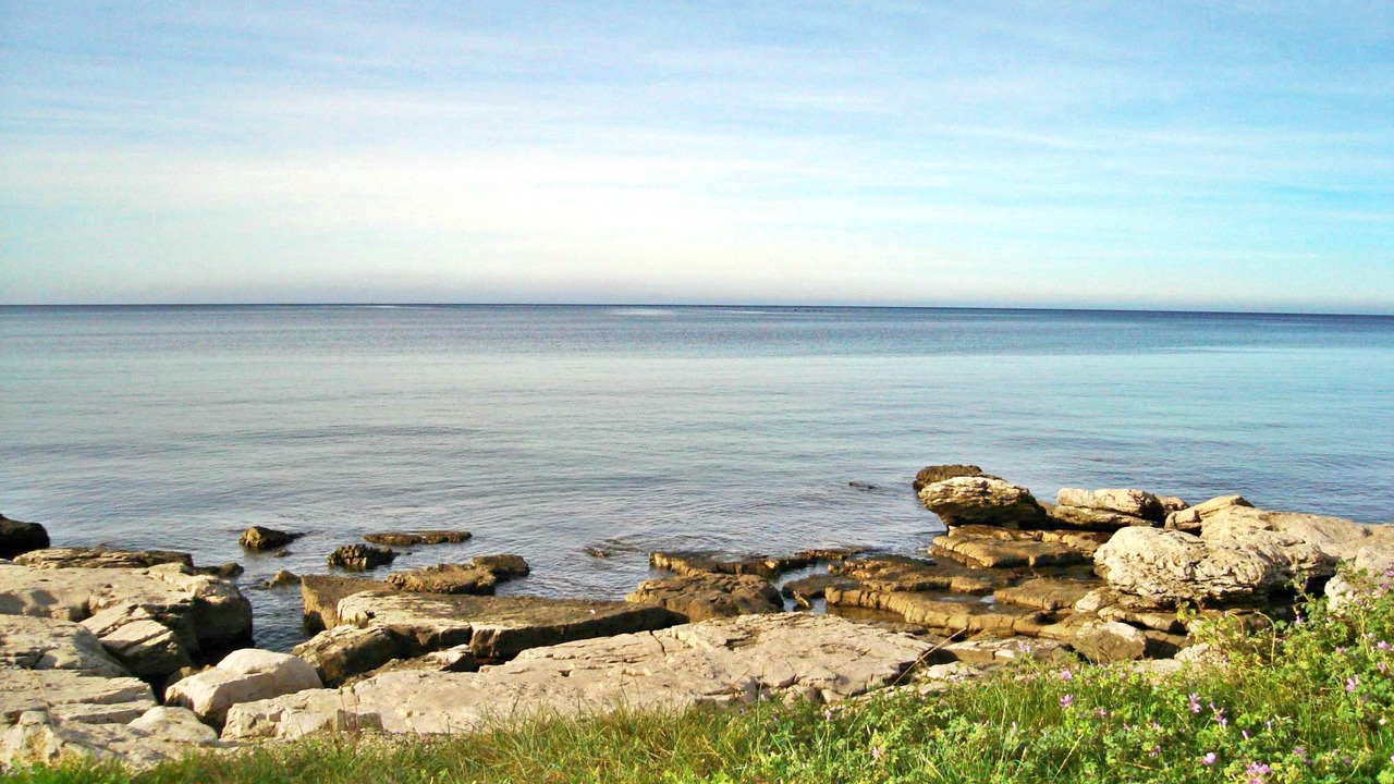 Photo of Others in Zambratija