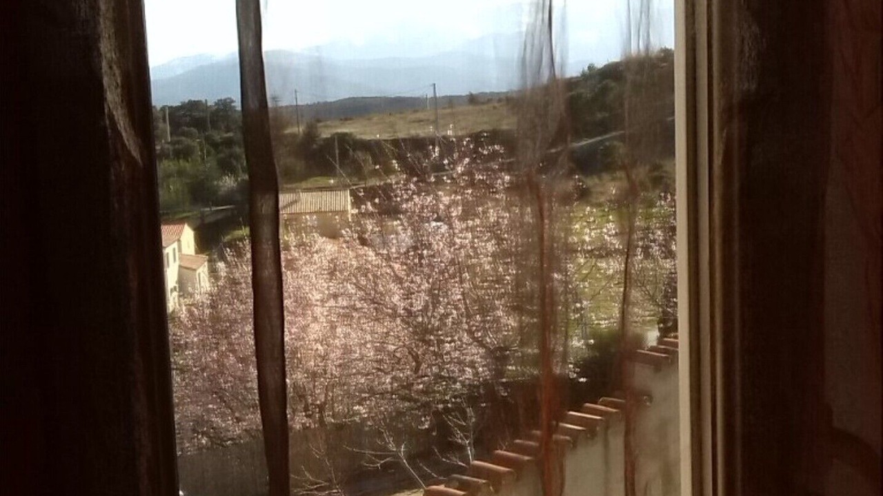 Photo of Others in Belesta