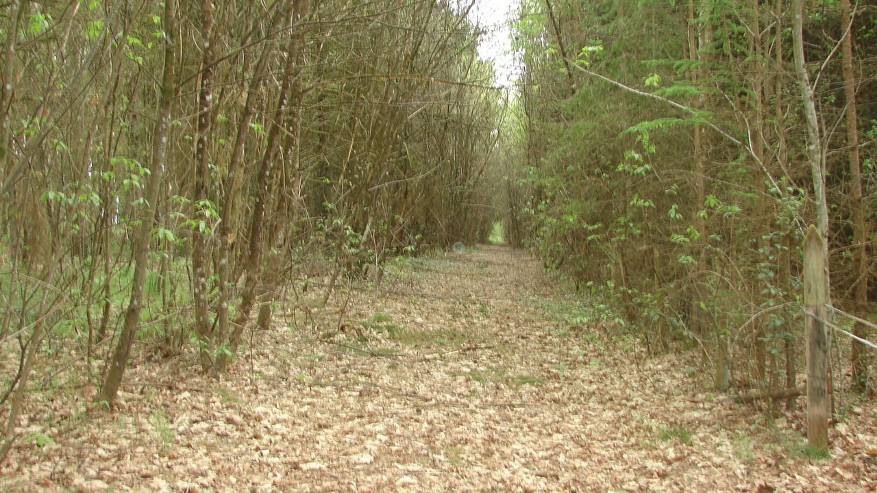 Photo of Outdoor in Noyant