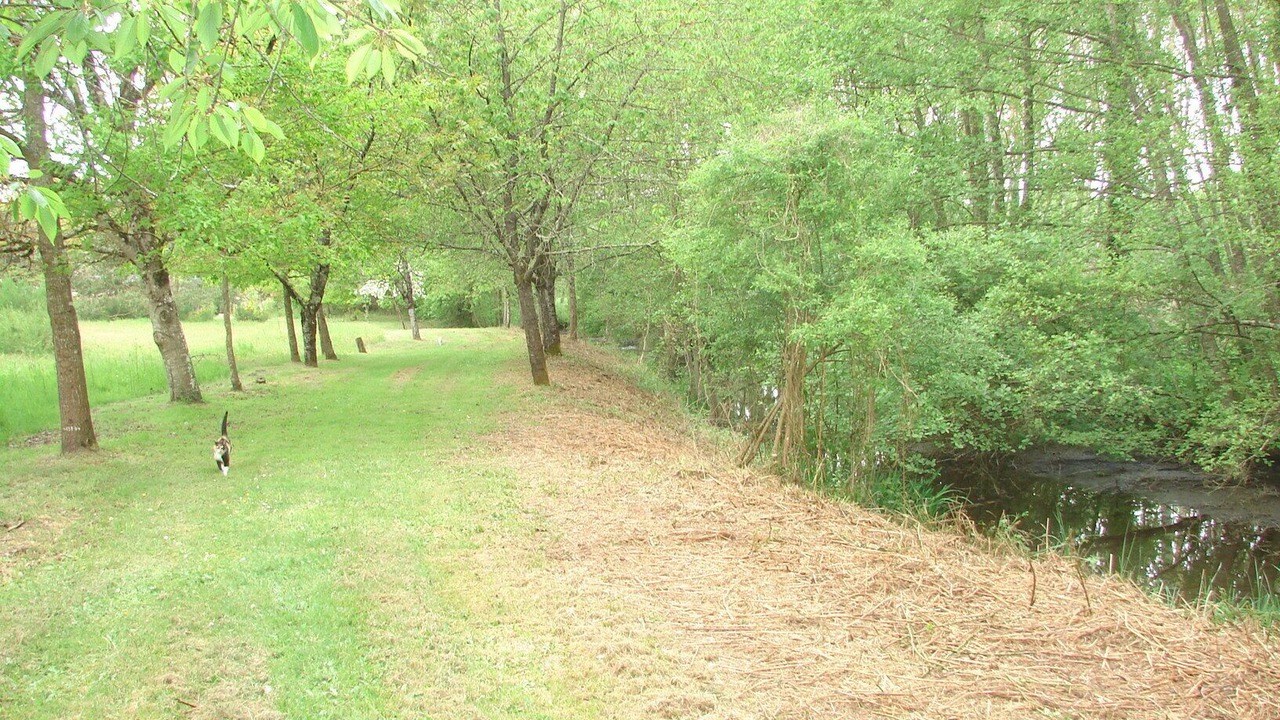 Photo of Outdoor in Noyant