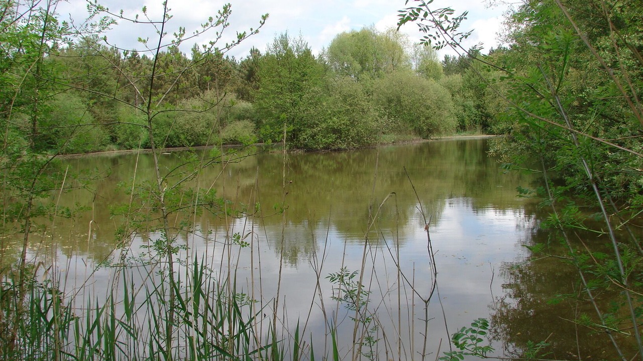Photo of Outdoor in Noyant