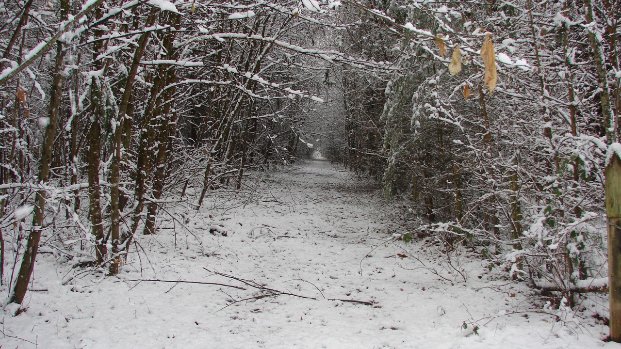 Photo of Others in Noyant