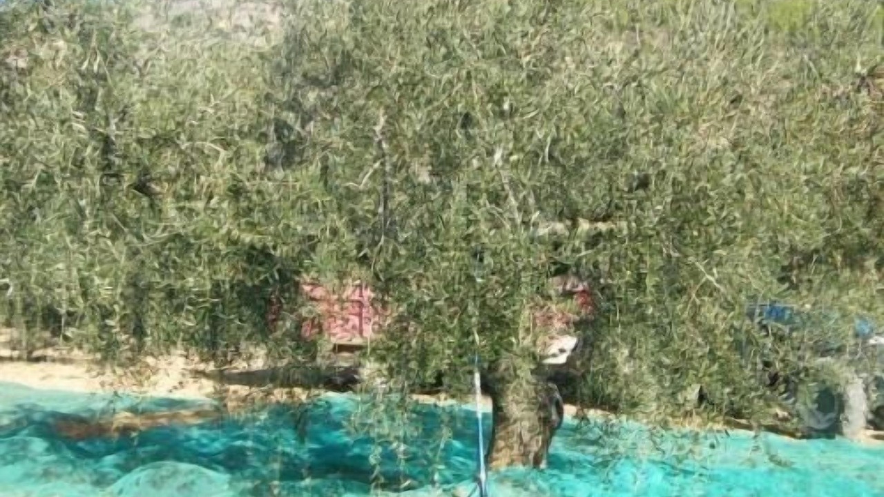 Photo of Outdoor in Torrelles de Foix