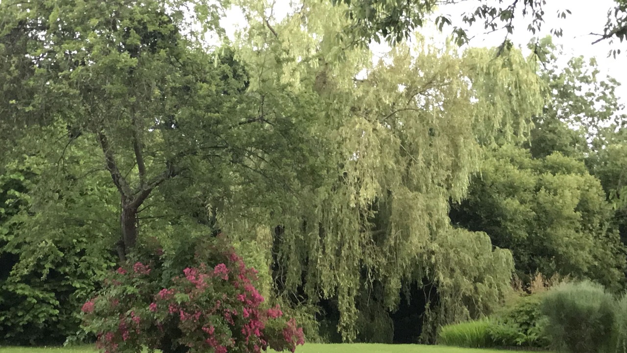 Photo of Others in Manneville-la-Raoult
