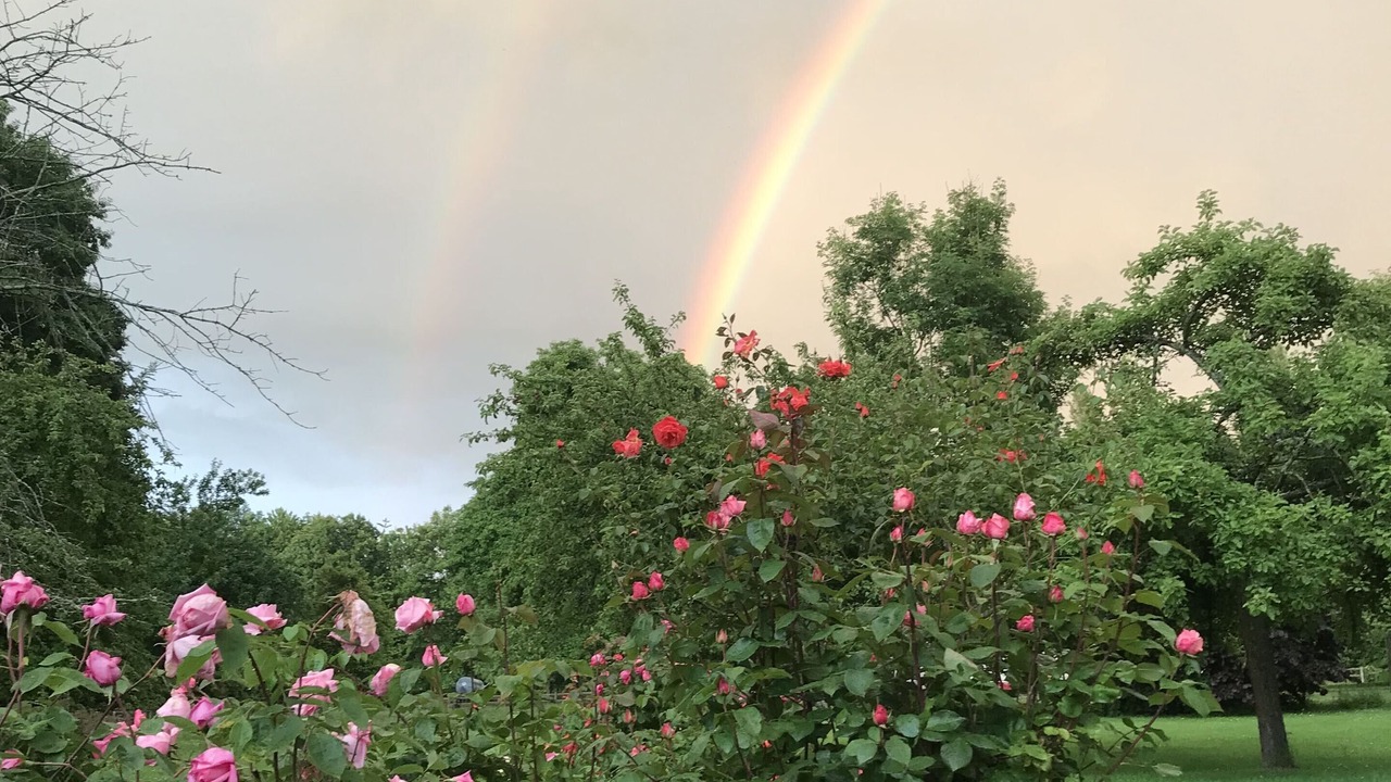 Photo of Outdoor in Manneville-la-Raoult