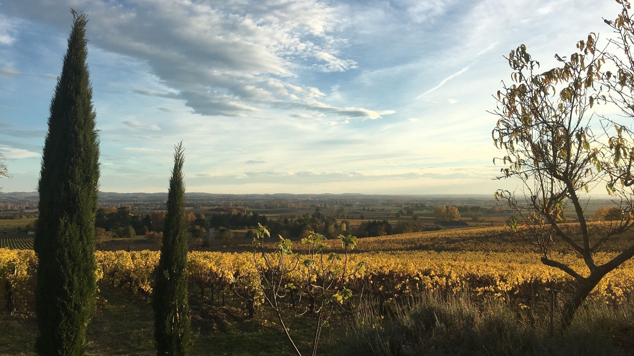 Photo of Outdoor in Aiguelèze