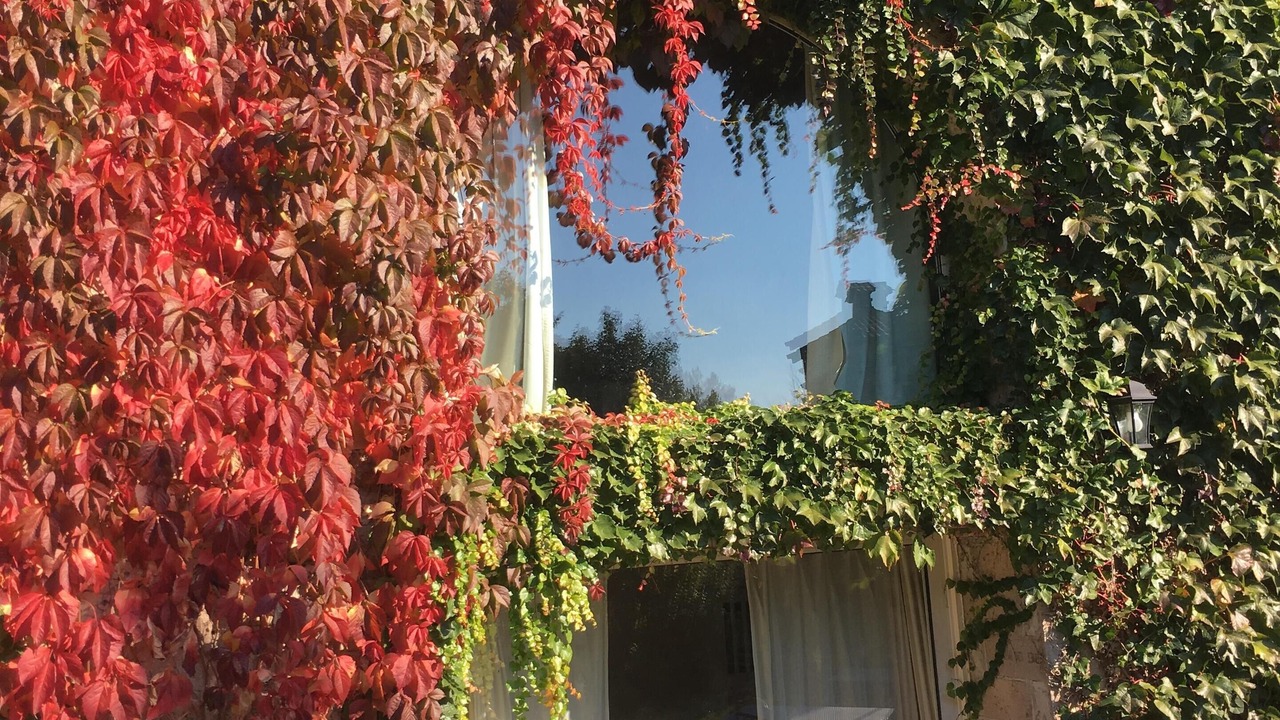 Photo of Outdoor in Aiguelèze