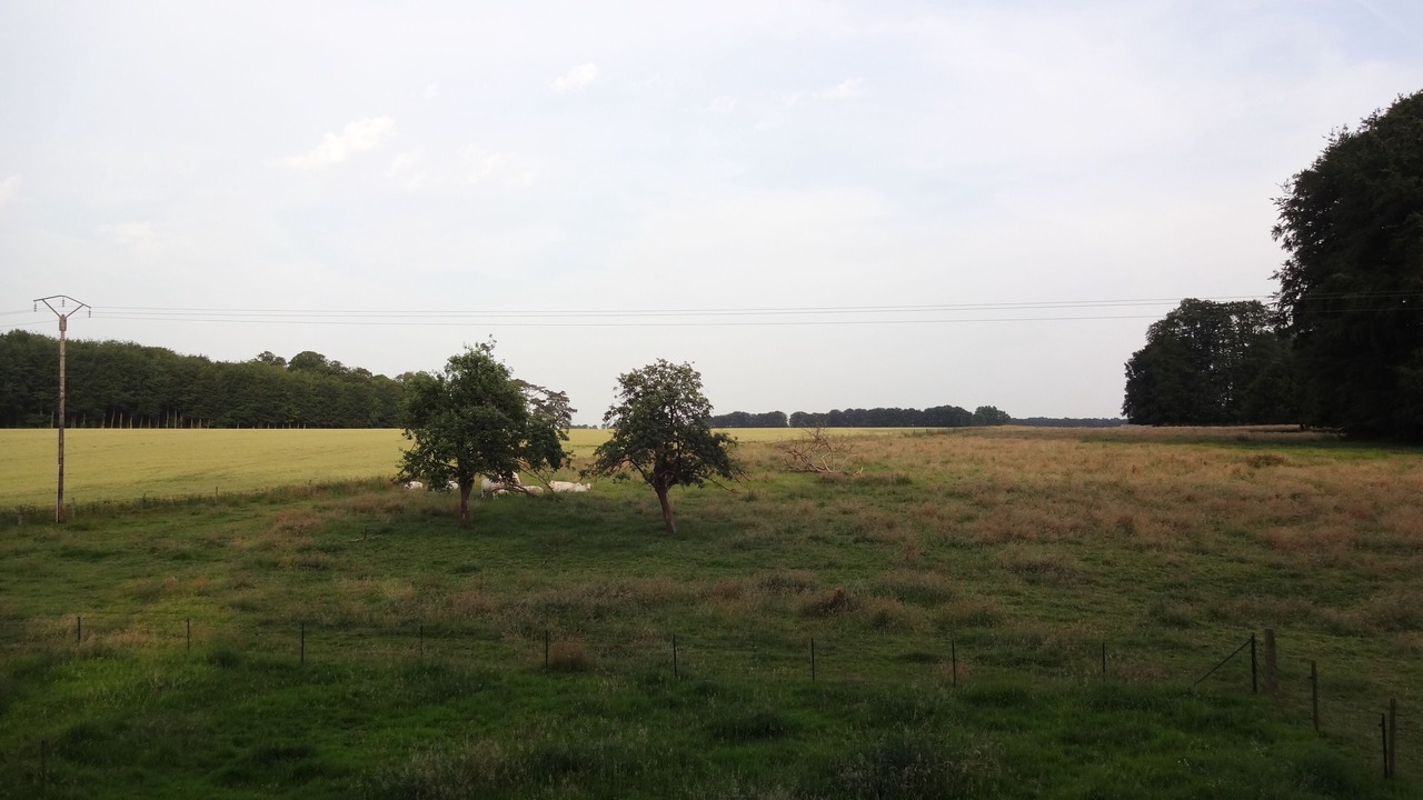 Photo of Outdoor in Bernieres