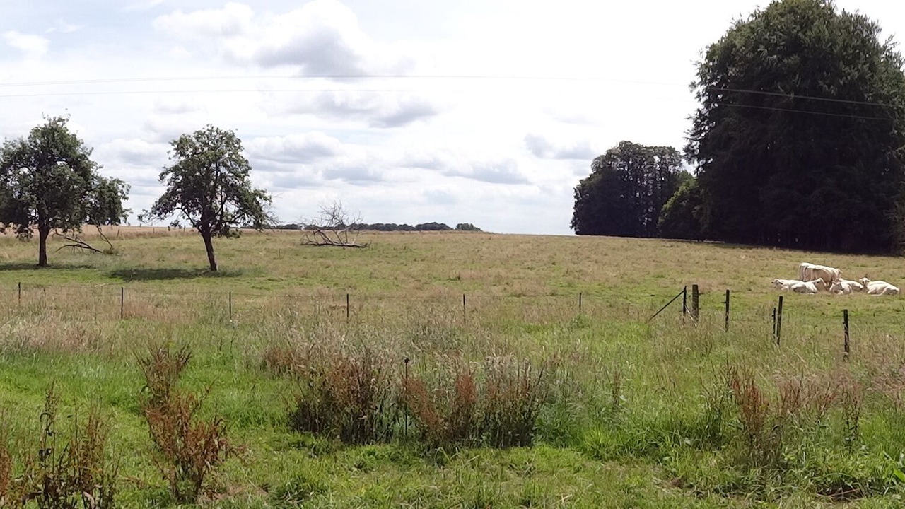 Photo of Outdoor in Bernieres