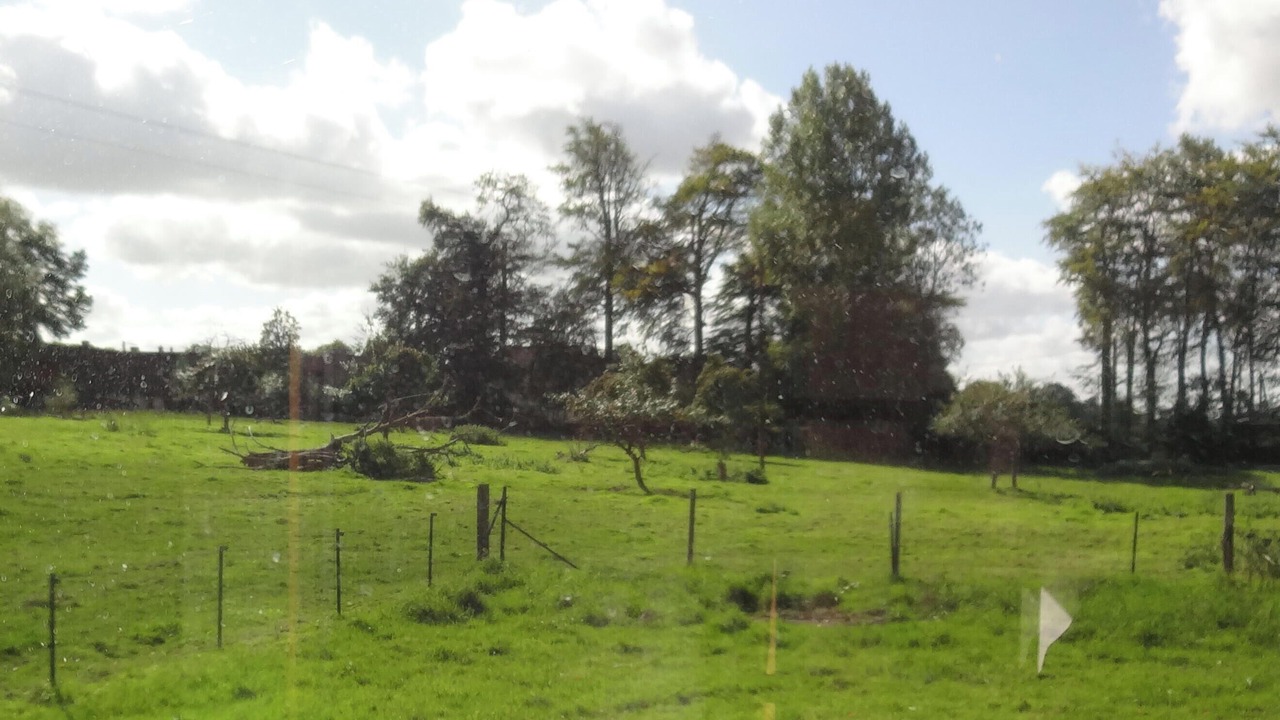 Photo of Others in Bernieres