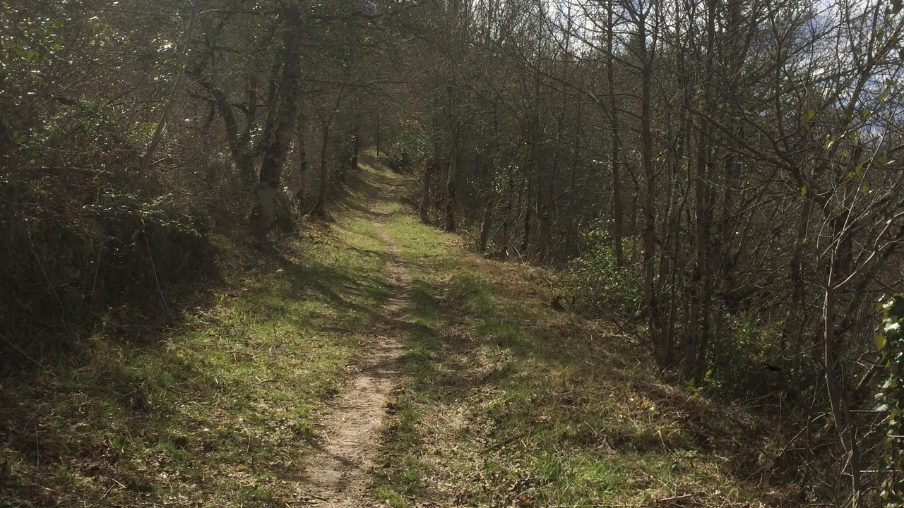 Photo of Others in Serres