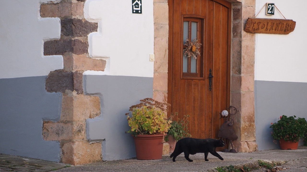 Photo of Outdoor in Esnoz