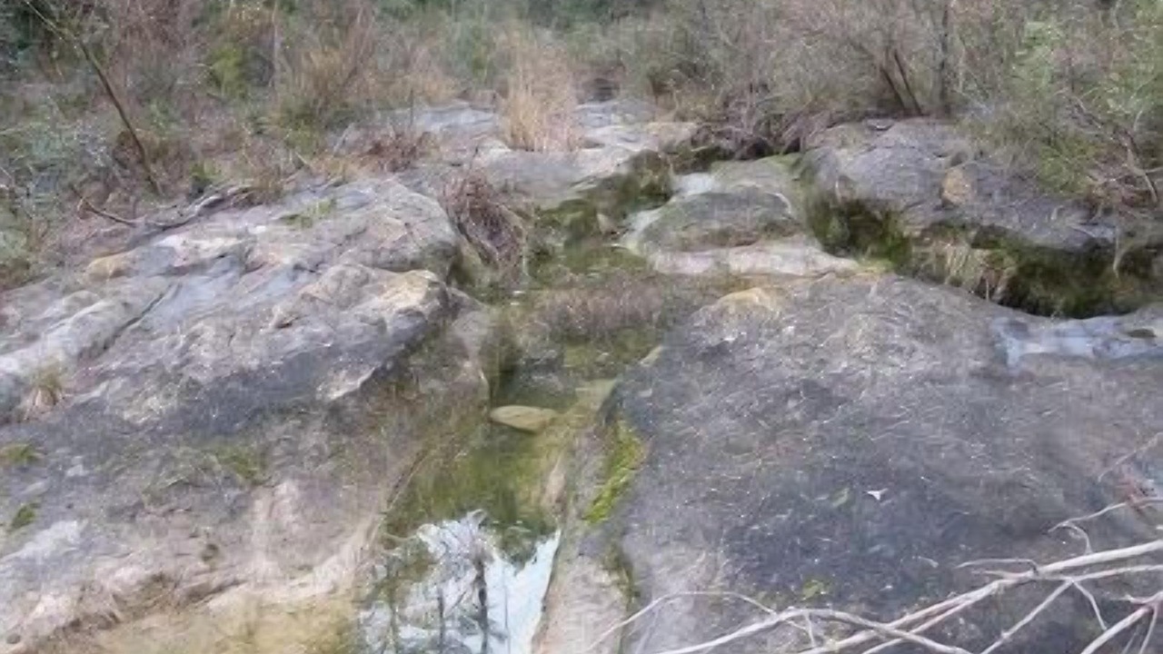 Photo of Others in Torrelles de Foix