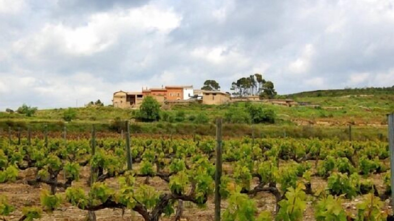 Photo of Outdoor in Torrelles de Foix