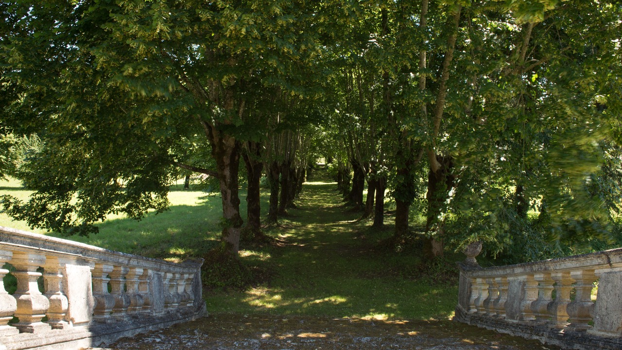 Photo of Others in Charras