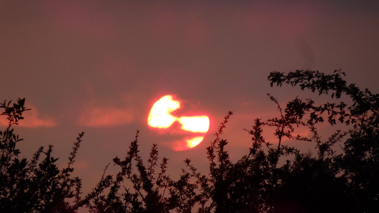 Photo of Others in Saint-Martin-du-Fouilloux
