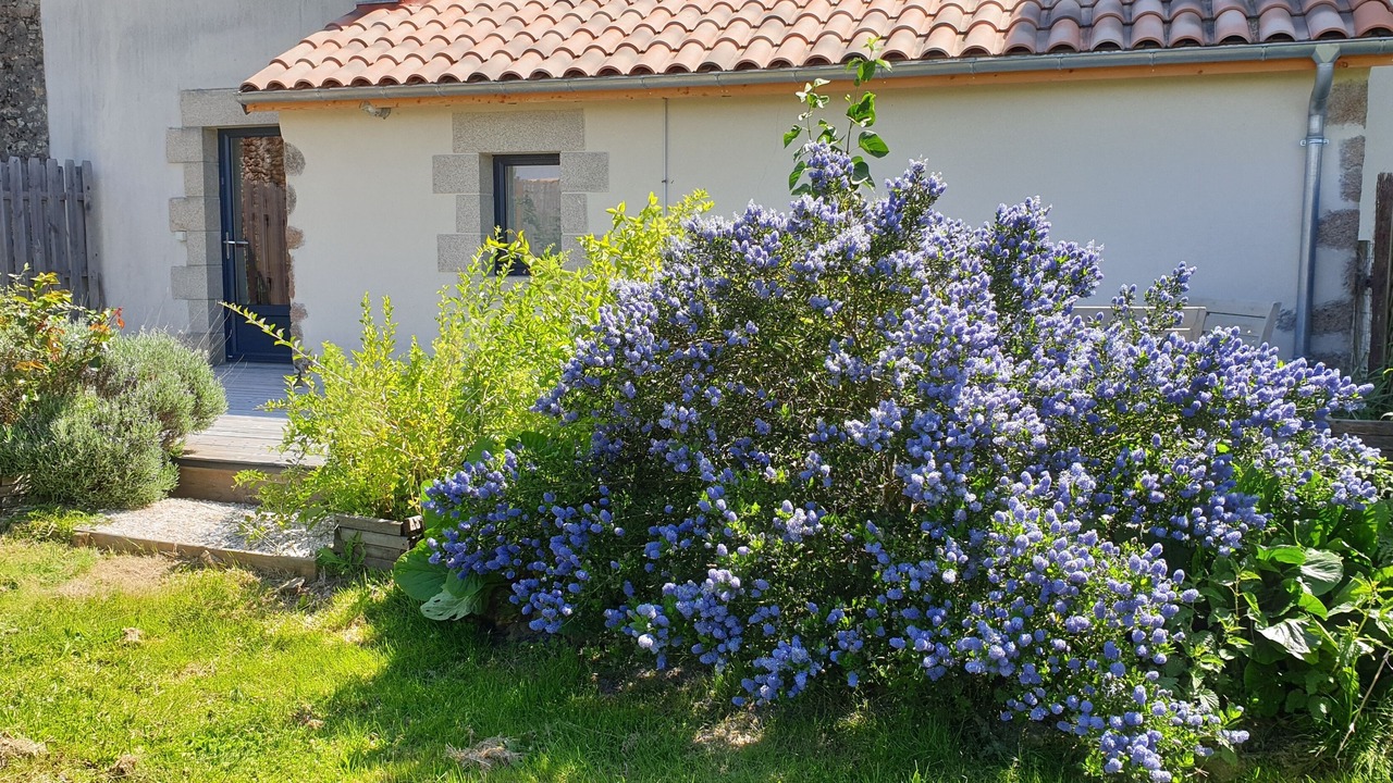 Photo of Outdoor in Saint-Martin-du-Fouilloux