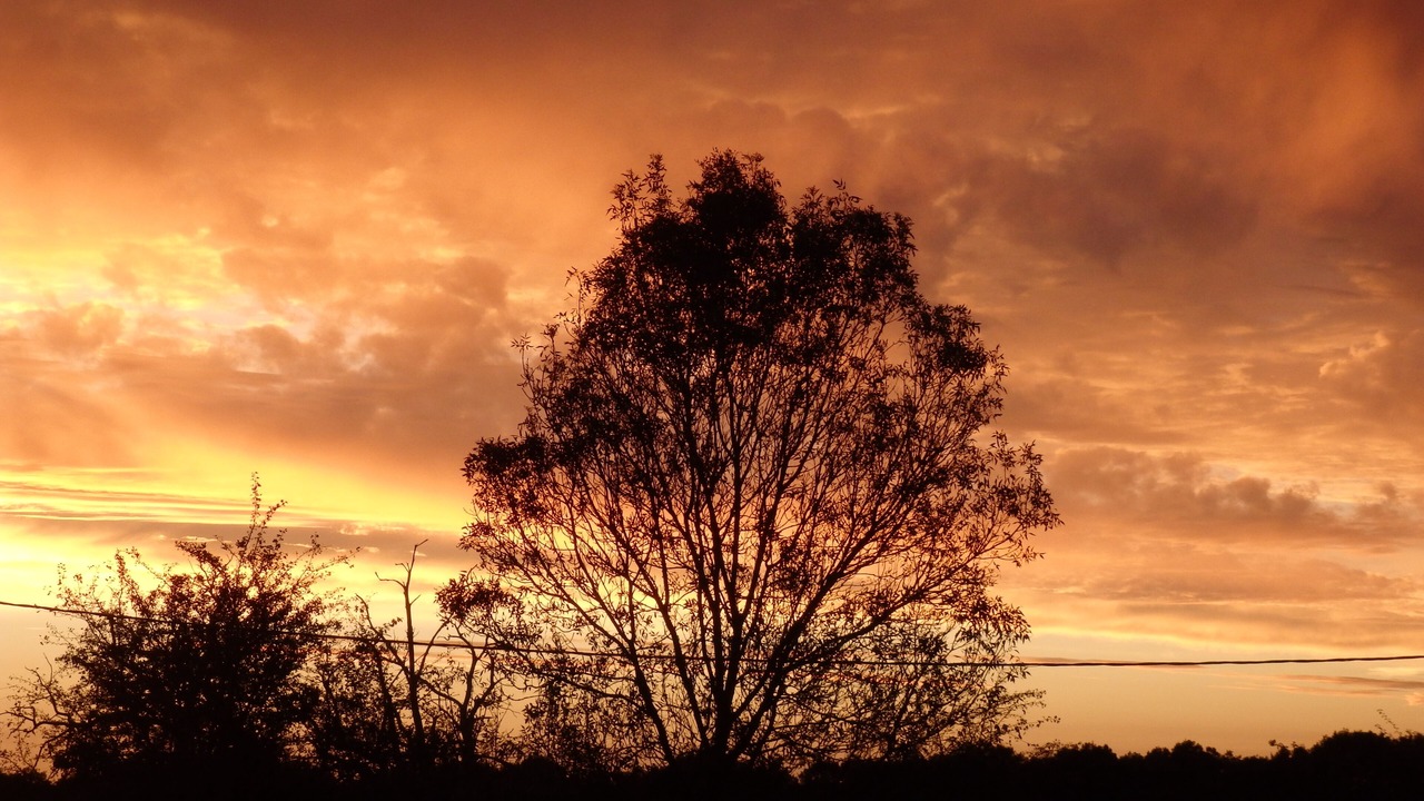 Photo of Outdoor in Saint-Martin-du-Fouilloux