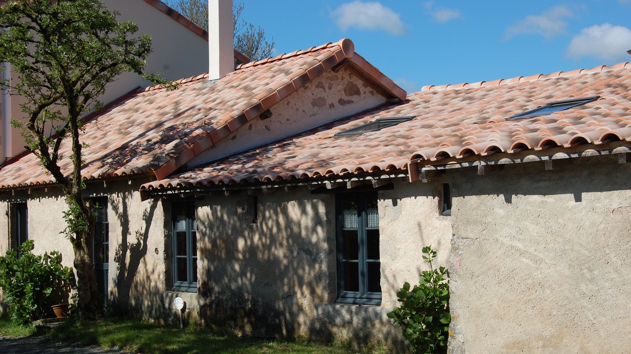 Photo of Outdoor in Saint-Martin-du-Fouilloux
