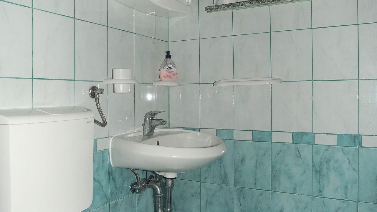 Photo of Bathroom in Caska