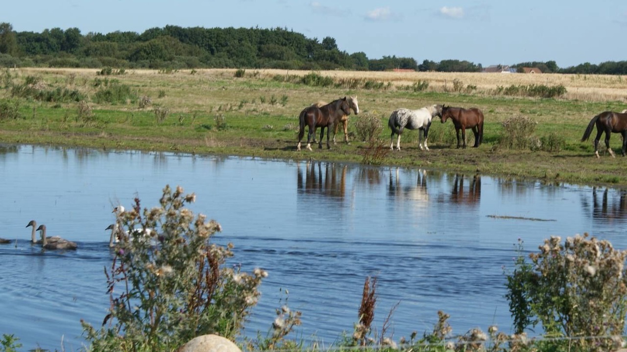 Photo of Outdoor in Sejerslev