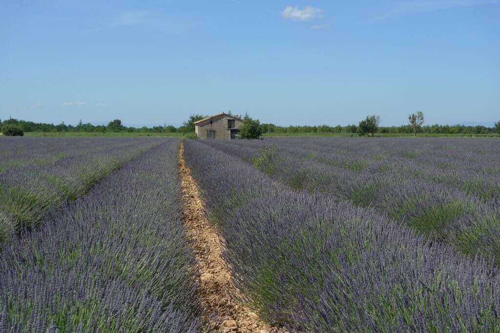 Photo of Others in Sainte-Croix-du-Verdon