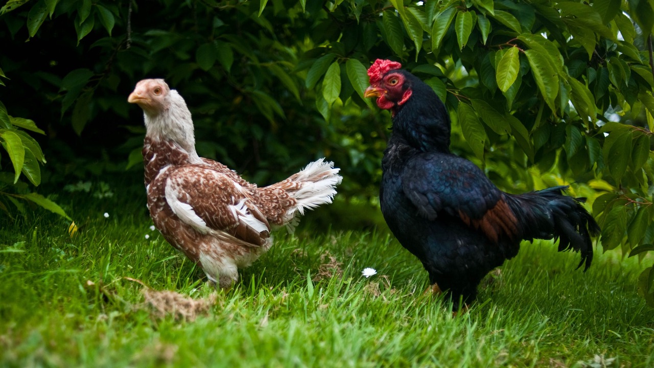 Photo of Outdoor in St Wenn