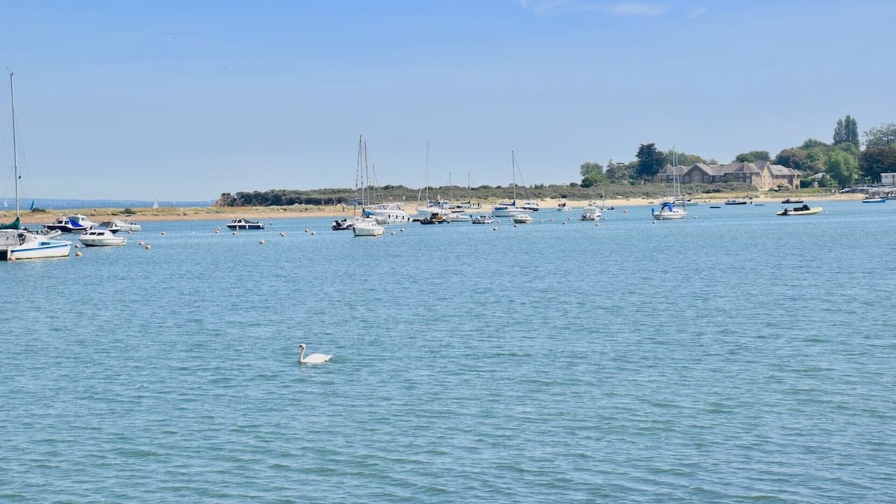 Photo of Others in Bembridge