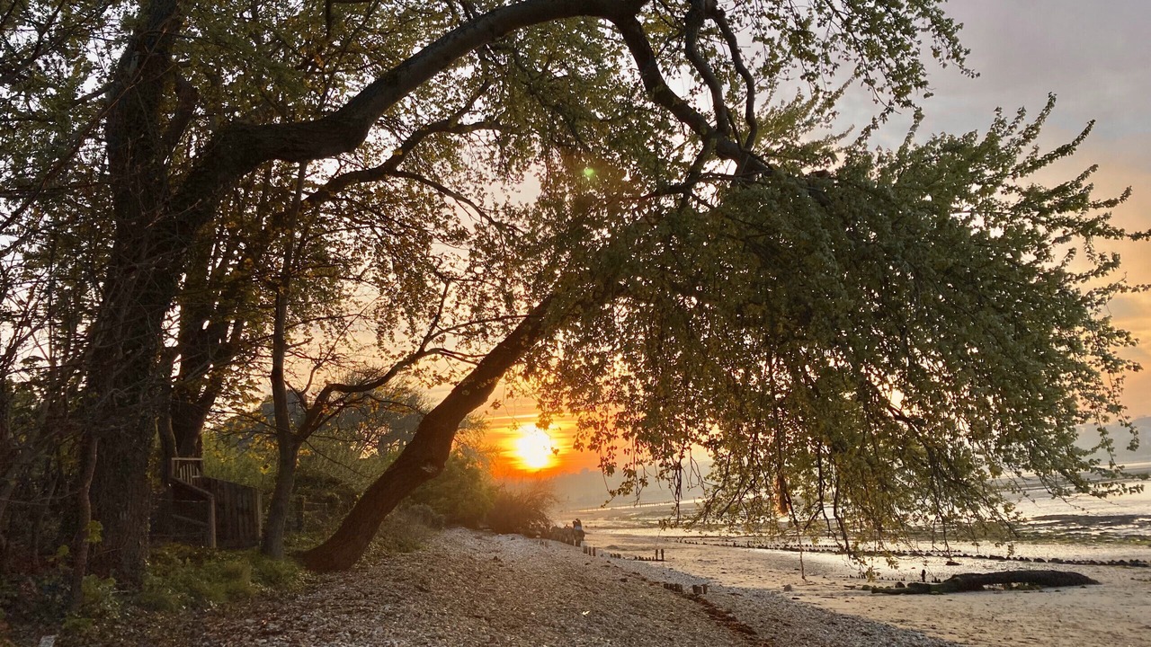 Photo of Others in Bembridge