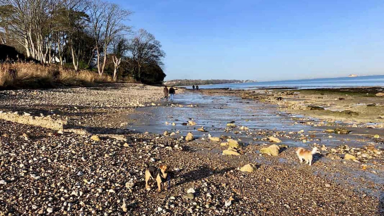 Photo of Others in Bembridge