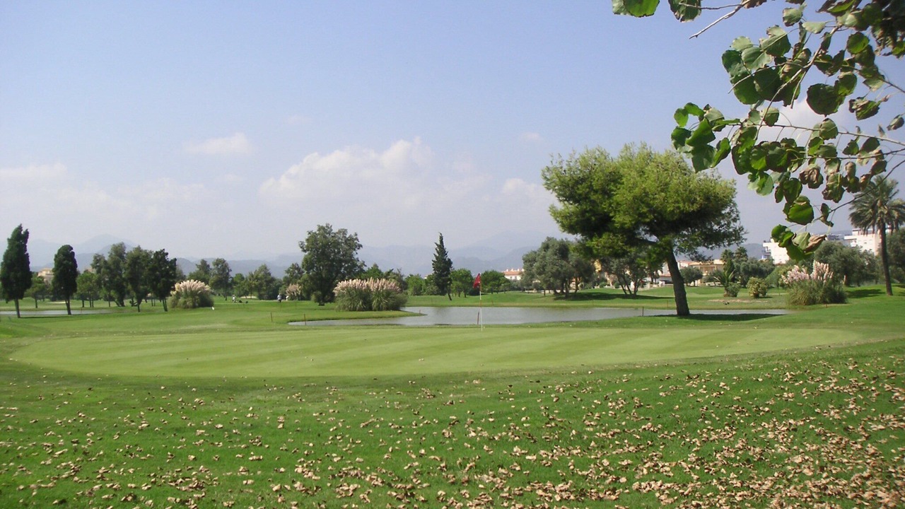 Photo of Others in Molinell