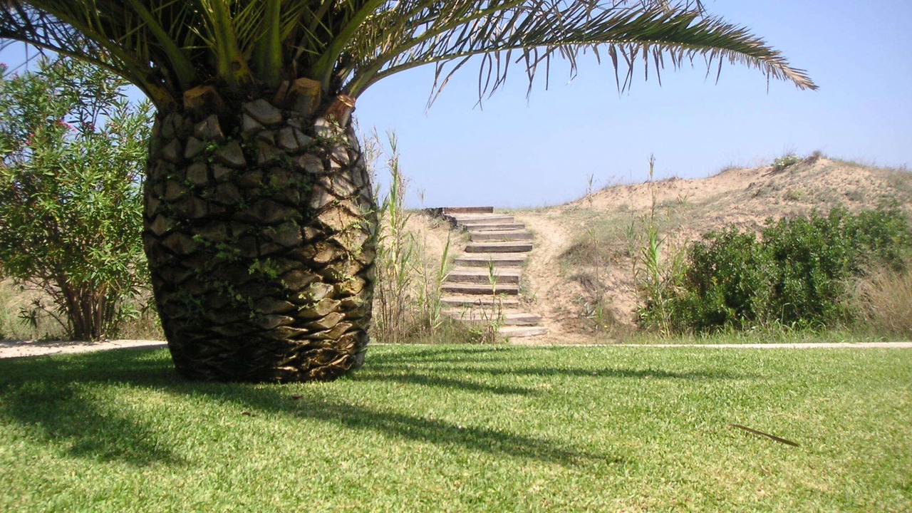 Photo of Outdoor in Molinell