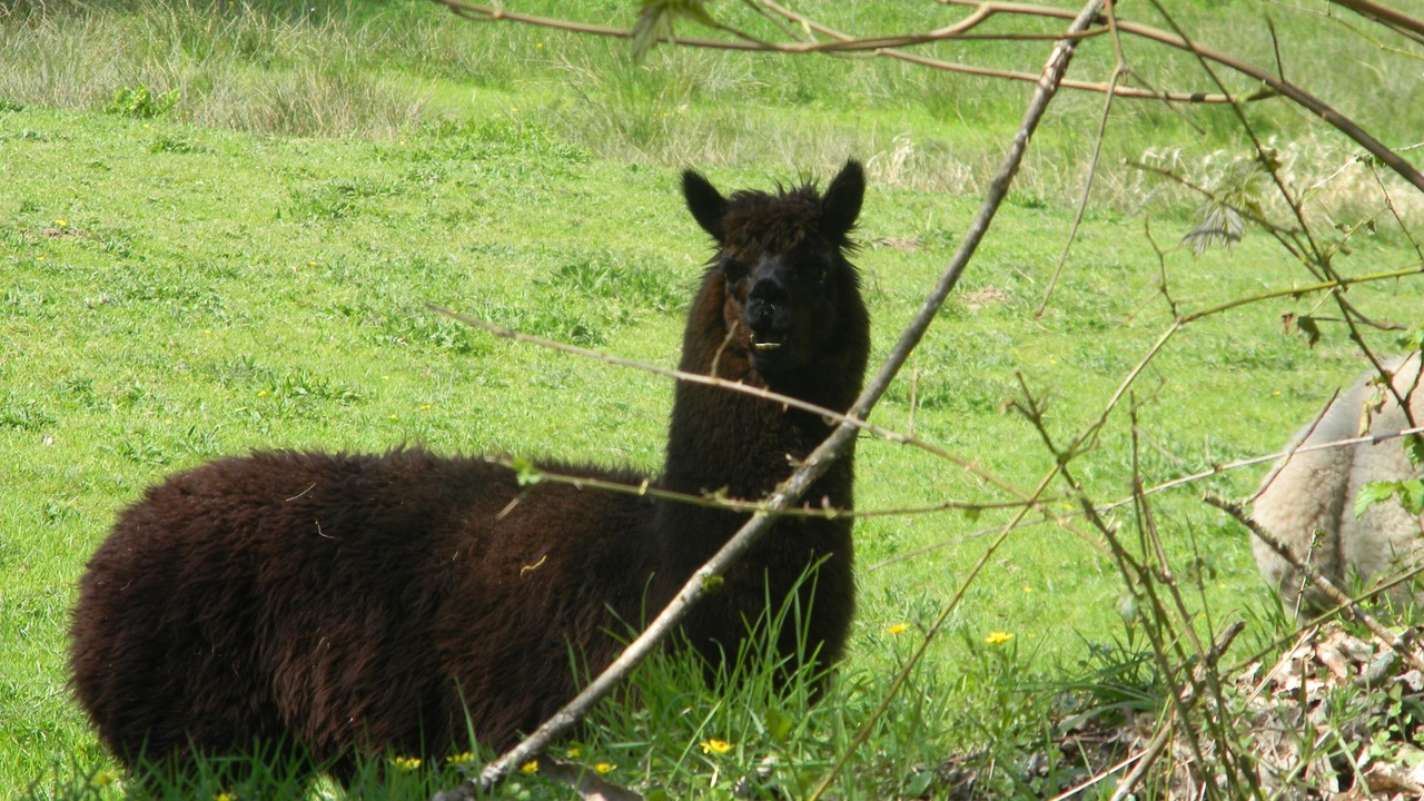 Photo of Outdoor in Bazouges-la-Perouse