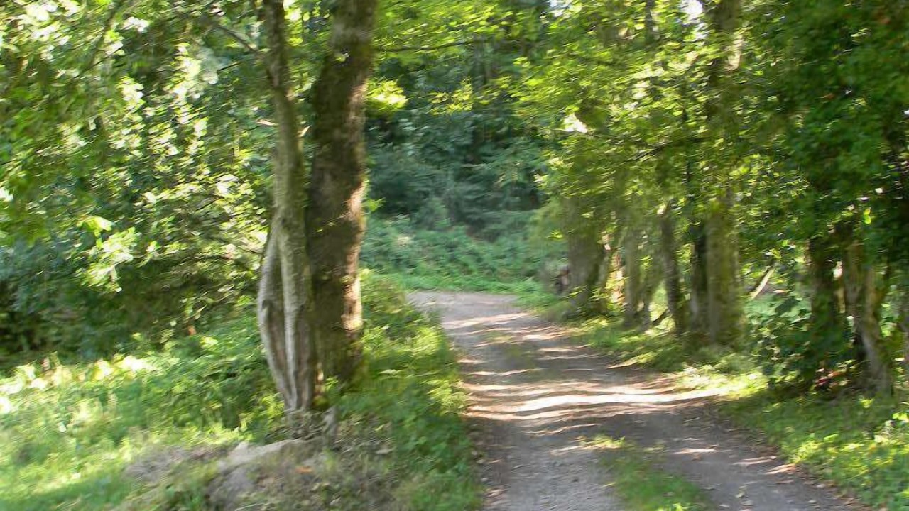 Photo of Outdoor in Bazouges-la-Perouse
